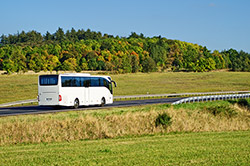 Le bus ne nuit pas à l'écologie