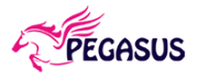 Pegasus Group