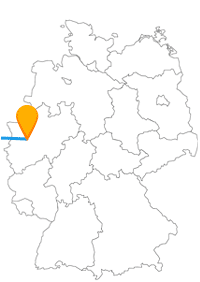 Lassen Sie sich auf der Reise mit dem Fernbus zwischen Antwerpen und Düsseldorf auf verschiedene Arten überraschen.