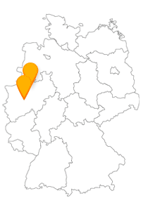 Setzen Sie sich in den Fernbus Hagen Münster, um danach neben den städtischen Bussen fast alles zu Fuß zu besichtigen und kennenzulernen.