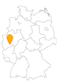 Der Bus und Fernbus Köln Bonn Flughafen bedient gleichzeitig auch die beiden angrenzenden Städte Köln und Bonn.